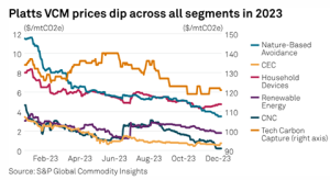 carbon credits lose value in 2023-early 2024