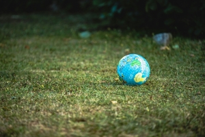 globo redondo sobre la hierba; Brasil: un mercado energético cambiante