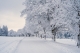 winter scene with snow covered trees by a road